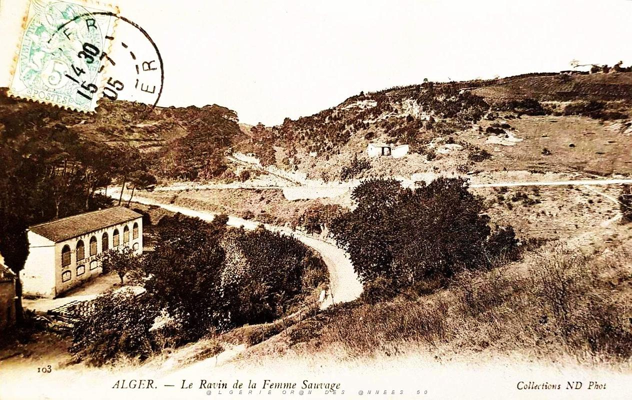 Alger - Le Ravin de la Femme Sauvage.jpg